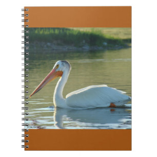 B4 Witte Pelikaan Notitieboek
