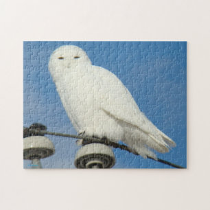 B50 Sneeuwuil Legpuzzel