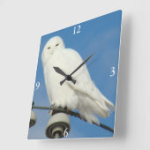 B50 Sneeuwuil Vierkante Klok (Hoek)