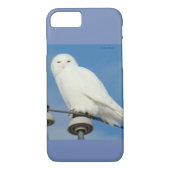 B50 Snowy Owl Case-Mate iPhone Case (Achterkant)