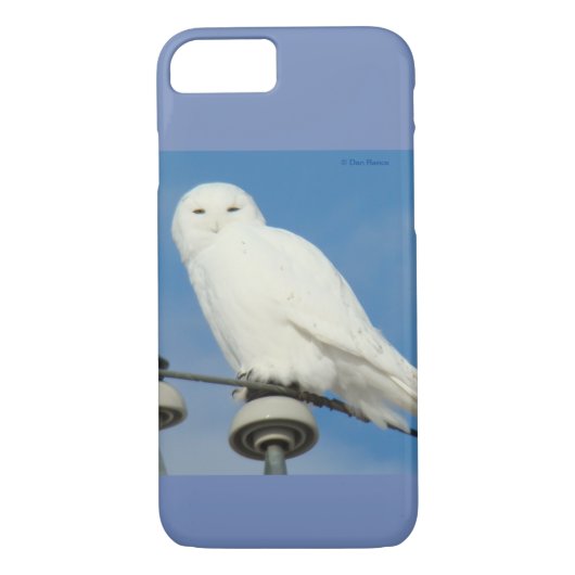 B50 Snowy Owl Case-Mate iPhone Case (Achterkant)