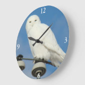 B50 Snowy Owl Grote Klok (Hoek)