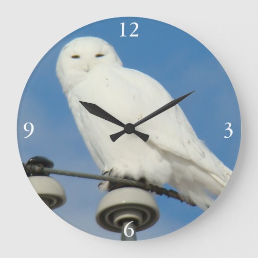 B50 Snowy Owl Grote Klok (Voorkant)