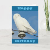 B50 Snowy Owl Kaart (Voorkant)