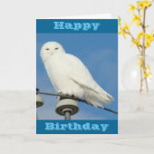B50 Snowy Owl Kaart (Gele Bloem)