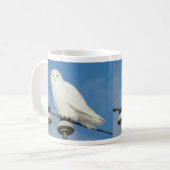 B50 Snowy Owl Koffiemok (Voorkant links)