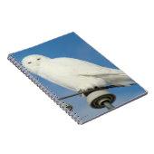 B50 Snowy Owl Notitieboek (Rechterzijde)