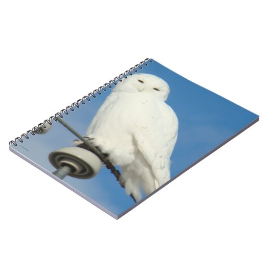 B50 Snowy Owl Notitieboek (Linkerzijde)