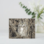 B51 Great Horned Owl Briefkaart (Staand voorkant)