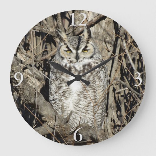 B51 Great Horned Owl Grote Klok (Voorkant)