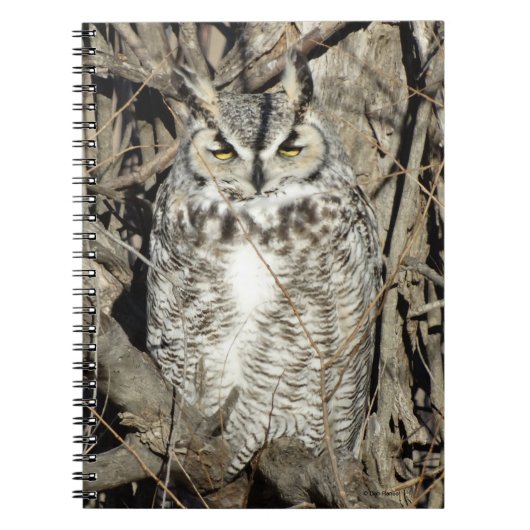 B51 Great Horned Owl Notitieboek (Voorkant)