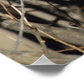 B51 Great Horned Owl Poster (Hoek)