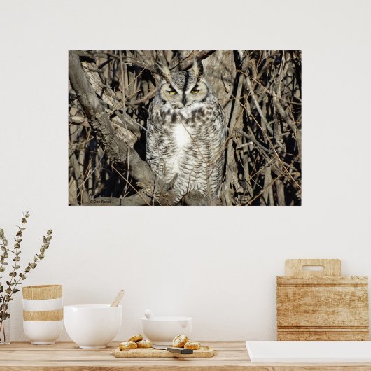 B51 Great Horned Owl Poster (Keuken)