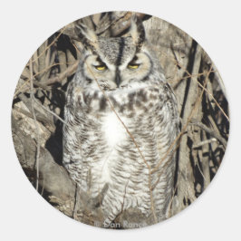B51 Great Horned Owl Ronde Sticker