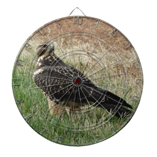 B52 Swainson's Havik Dartbord (Voorkant)