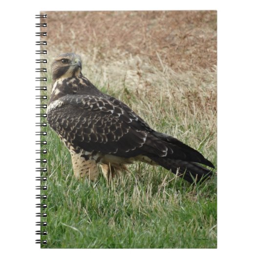 B52 Swainson's Havik Notitieboek (Voorkant)