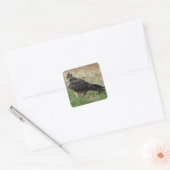B52 Swainson's Havik Vierkante Sticker (Envelop)