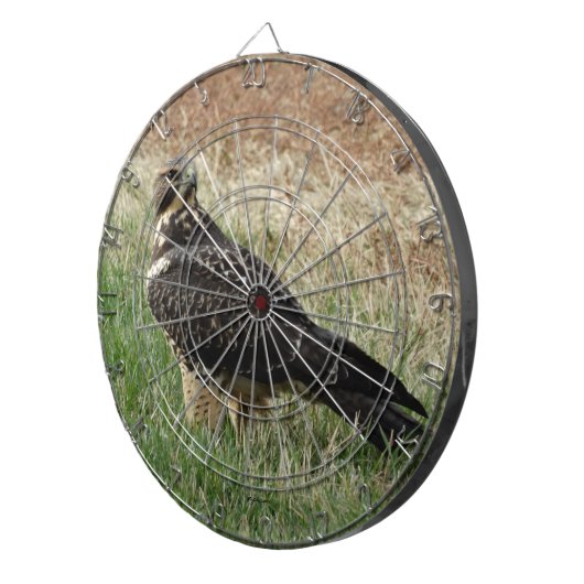 B52 Swainson's Hawk Dartbord (Voorkant Rechts)