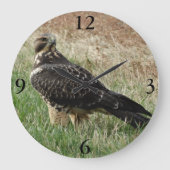 B52 Swainson's Hawk Grote Klok (Voorkant)