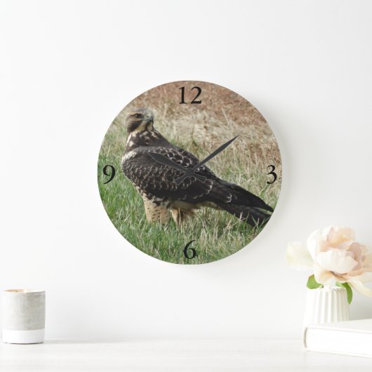 B52 Swainson's Hawk Grote Klok (Huis)