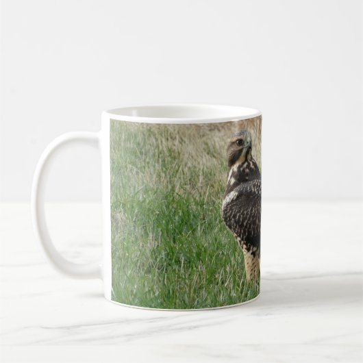 B52 Swainson's Hawk Koffiemok (Links)