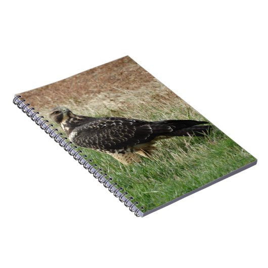 B52 Swainson's Hawk Notitieboek (Rechterzijde)