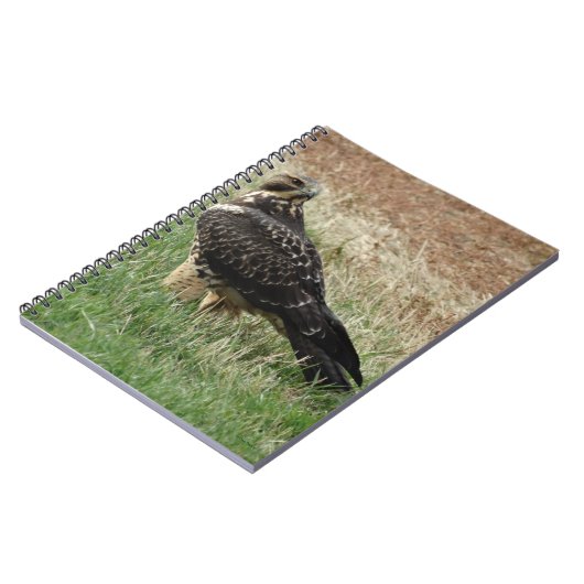 B52 Swainson's Hawk Notitieboek (Linkerzijde)