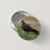 B52 Swainson's Hawk Ronde Button 3,2 Cm (Voorkant /achterkant)