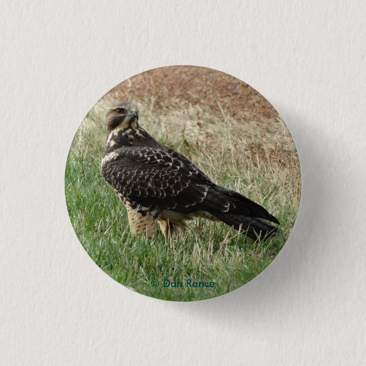 B52 Zwaluwstaartbuizerd Ronde Button 3,2 Cm (Voorkant)