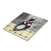 B53 Downy Woodpecker Tegeltje (Zijkant)