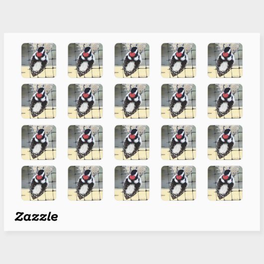 B53 Downy Woodpecker Vierkante Sticker (Vel)