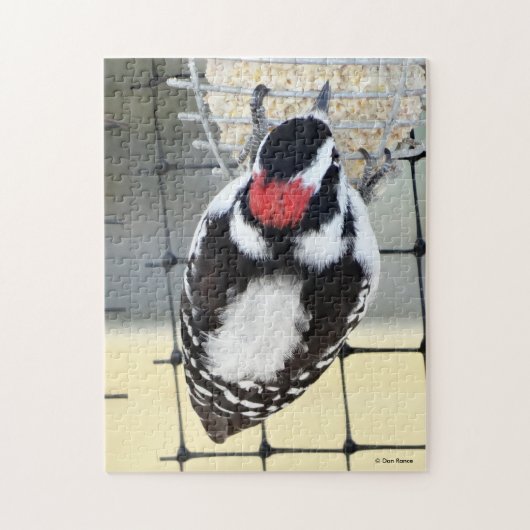 B53 Kleine Bonte Specht Legpuzzel (Verticaal)
