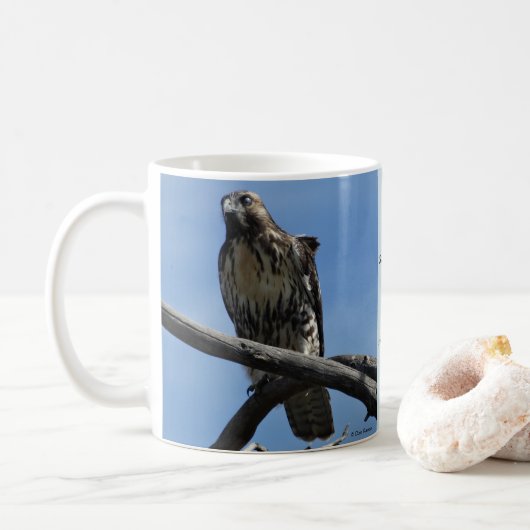 B54 Swainsons Buizerd Koffiemok (Met donut)