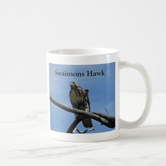 B54 Swainsons Buizerd Koffiemok (Rechts)