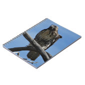 B54 Swainsons Buizerd Notitieboek (Linkerzijde)