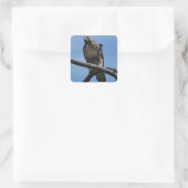 B54 Swainsons Buizerd Vierkante Sticker (Tas)