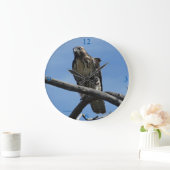 B54 Swainson's Hawk Grote Klok (Huis)