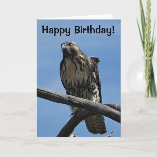 B54 Swainson's Hawk Kaart (Voorkant)