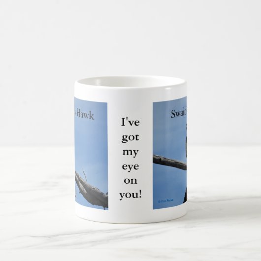 B54 Swainson's Hawk Koffiemok (Center)