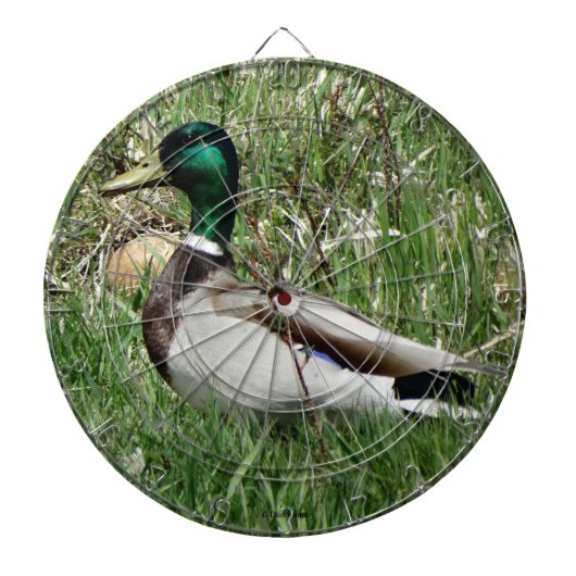 B55 Mallard Duck Drake Greenhead in de Grass Dartbord (Voorkant)