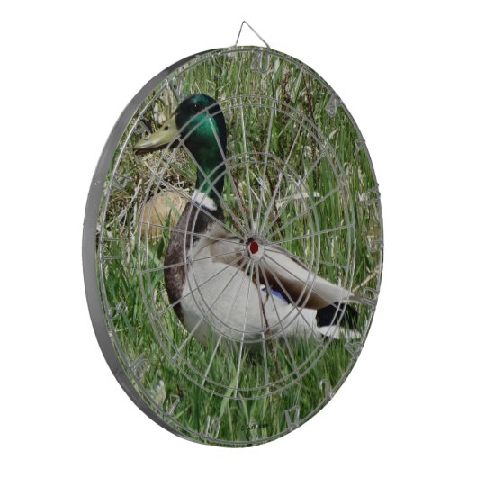 B55 Mallard Duck Drake Greenhead in de Grass Dartbord (Voorkant Links)