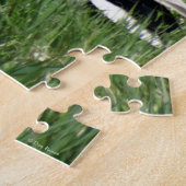 B55 Mallard Duck Drake Greenhead in de Grass Legpuzzel (Zijkant)