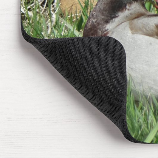 B55 Mallard Duck Drake Greenhead in de Grass Muismat (Hoek)