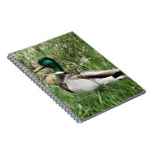 B55 Mallard Duck Drake Greenhead in de Grass Notitieboek (Rechterzijde)