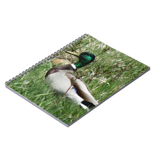 B55 Mallard Duck Drake Greenhead in de Grass Notitieboek (Linkerzijde)