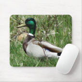 B55 Wilde Eend Woerd Groenling in het Gras Muismat (Met muis)