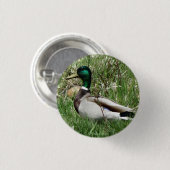 B55 Wilde Eend Woerd Groenling in het Gras Ronde Button 3,2 Cm (Voorkant /achterkant)
