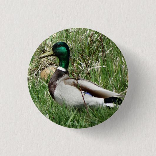 B55 Wilde Eend Woerd Groenling in het Gras Ronde Button 3,2 Cm (Voorkant)
