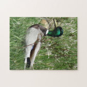 B55 Wilde Eend Woerd in het Gras Legpuzzel (Horizontaal)