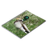 B55 Wilde Eend Woerd in het Gras Notitieboek (Linkerzijde)